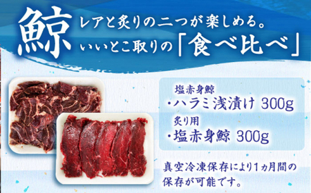 鯨 2種 600g (塩赤身鯨 ハラミ浅漬け  塩鯨炙り用脂筋肉)各300g【中島(鯨)商店】[DBM011]/ 長崎 小値賀 魚 魚介類 クジラ くじら 赤身
