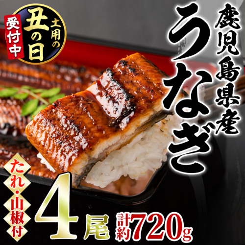 【0264363a-2607】＜土用丑の日までにお届け＞東串良町のうなぎ蒲焼(無頭)(4尾・計約720g・タレ、山椒付)うなぎ 高級 ウナギ 鰻 国産 蒲焼 蒲焼き たれ 鹿児島 ふるさと 人気【アクアおおすみ】