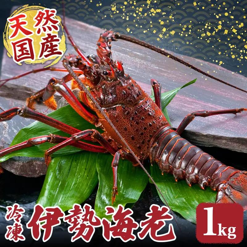 伊勢えび 約1kg 産地直送 冷凍 伊勢えび