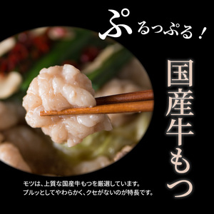 海千　博多もつ鍋食べ比べセット（醤油味・味噌味）_TKS0802