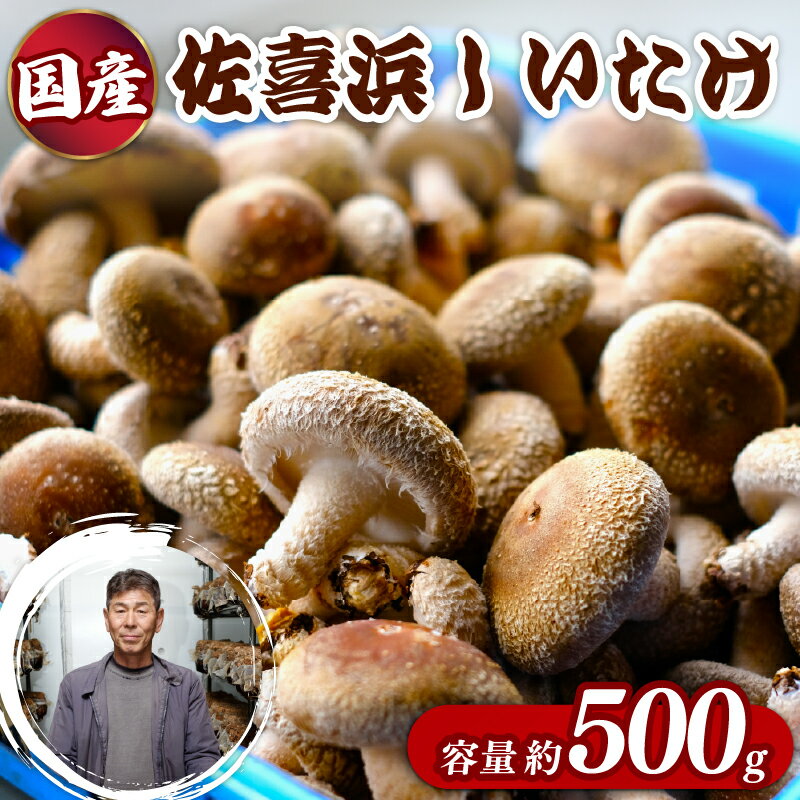 【ふるさと納税】 国産 佐喜浜しいたけ 約500g 椎茸 しいたけ 肉厚 うまみ 菌床 きのこ キノコ 調理 料理 ごはん ご飯 6000円 高知県 nc002
