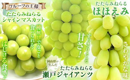 ぶどう3種類おまかせセット 約1.5kg ぶどう
