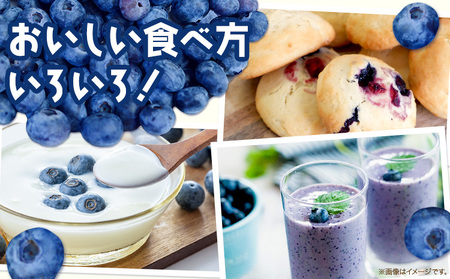 【2026年先行予約】【訳あり数量限定】ブルーベリー 計2kg (500g×4パック) ブルーベリーの宝石箱 かさおか青空ファーム 先行予約《2026年6月上旬-8月下旬頃出荷》 岡山県 笠岡市 送料