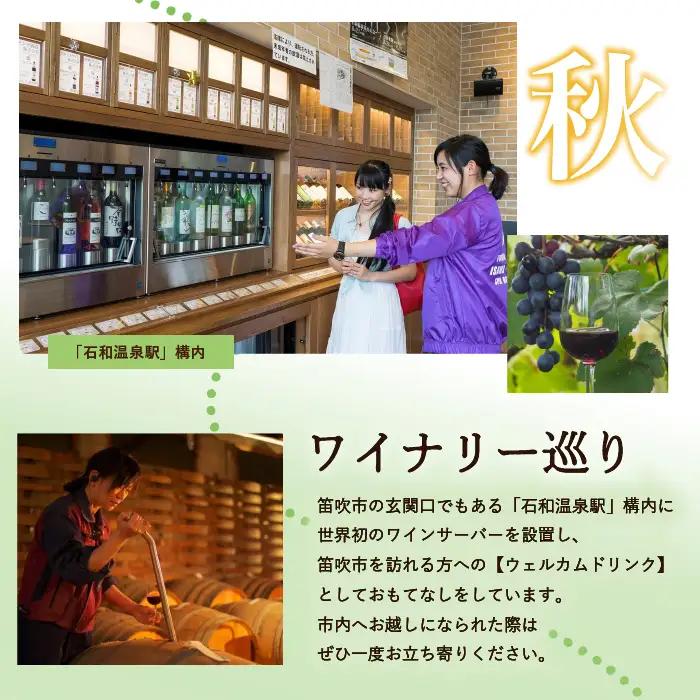 ふるさと納税石和温泉利用券＜利用券120,000円分＞ 038-008 山梨県 笛吹市 いさわ ホテル 旅館 宿泊券 観光 旅行 果物狩り フルーツ ワイン ワイナリー 登山 ぶどう 桃 ブドウ 葡萄