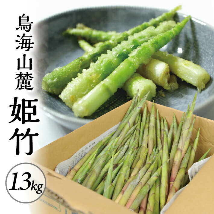 【ふるさと納税】鳥海山麓 姫竹 1.3kg 4月下旬〜5月上旬頃お届け 山形県遊佐町産 冷蔵便 ※離島発送・着日指定不可 野菜 山菜 筍 たけのこ 細竹 天然 農家直送 産地直送 山形県 遊佐町 庄内 春
