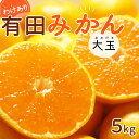 【ふるさと納税】【限定】 【2024年 先行予約】和歌山県産 有田みかん 大玉5kg 2L～3L 訳あり