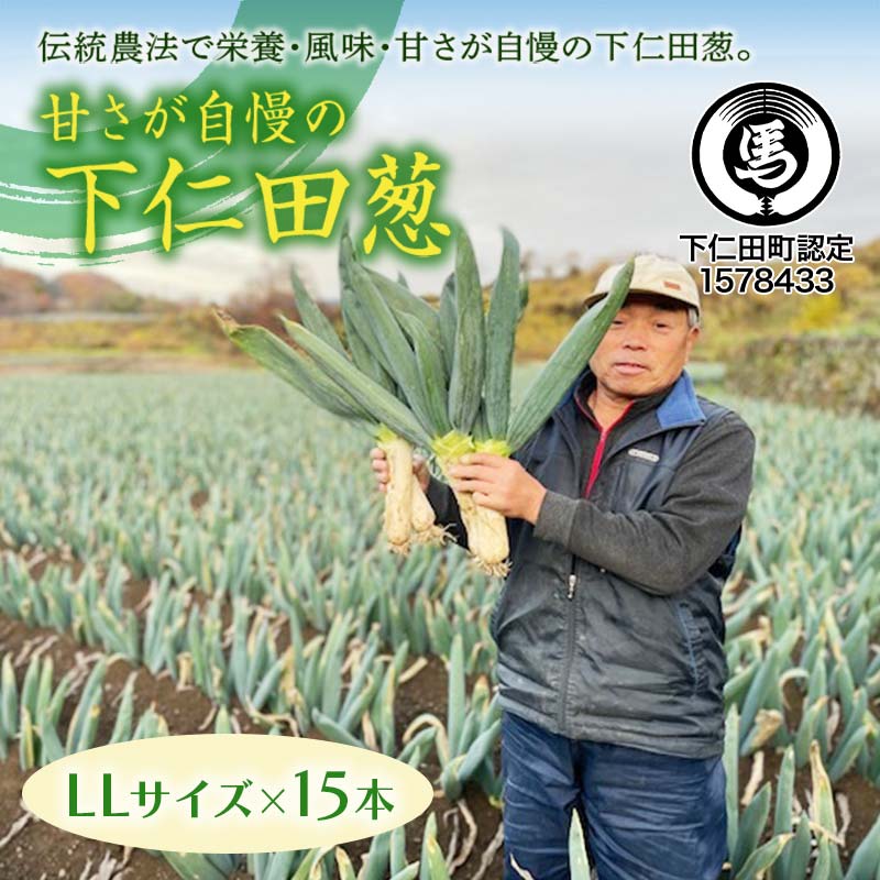 【ふるさと納税】甘さが自慢の下仁田葱（LLサイズ 15本） とろける 甘い ねぎ ネギ 王様ねぎ 殿様ねぎ 特産 栄養たっぷり ブランド 上州ねぎ すきやき F21K-618