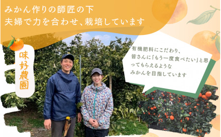【先行予約】秀品 「紅娘」 温州 みかん 山下紅早生 10kg 【S~2Lサイズおまかせ】【2026年11月下旬～2026年12月中旬までに順次発送】＜味好農園＞ /温州みかん みかん 蜜柑 柑橘 山