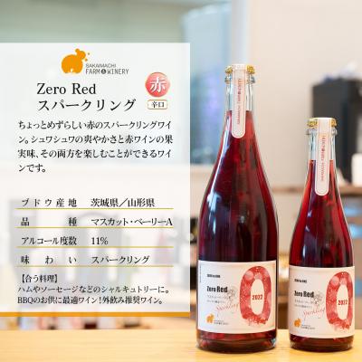 ふるさと納税 境町 【スパークリングワイン3種セット】750ml×3本 さかいまちワイナリー |  | 01