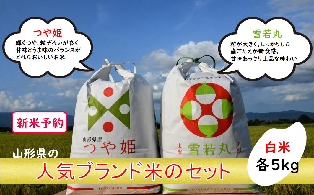 人気のブランド米　つや姫、雪若丸　白米セット（つや姫、雪若丸白米各5kg）（飯豊町産）【新米予約】