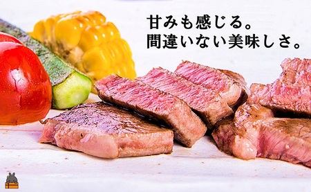 A5ランク THE鹿児島黒毛和牛サーロインステーキ（200g×1） ( 鹿児島黒毛和牛 A5 牛肉 ビーフ 贅沢 極上 こだわり プレミアム 徳之島 鹿児島 美味しい 赤身 脂身 カミチク ステーキ 