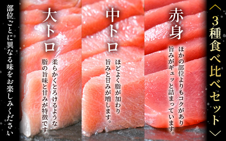 定期便≪3ヶ月連続お届け≫おすすめ！まぐろの王様！生本まぐろ 食べ比べ 定期便 計3回 【本まぐろ マグロ まぐろ 大とろ 中トロ 赤身 刺身 冷蔵 お取り寄せ グルメ】[e04-b028]