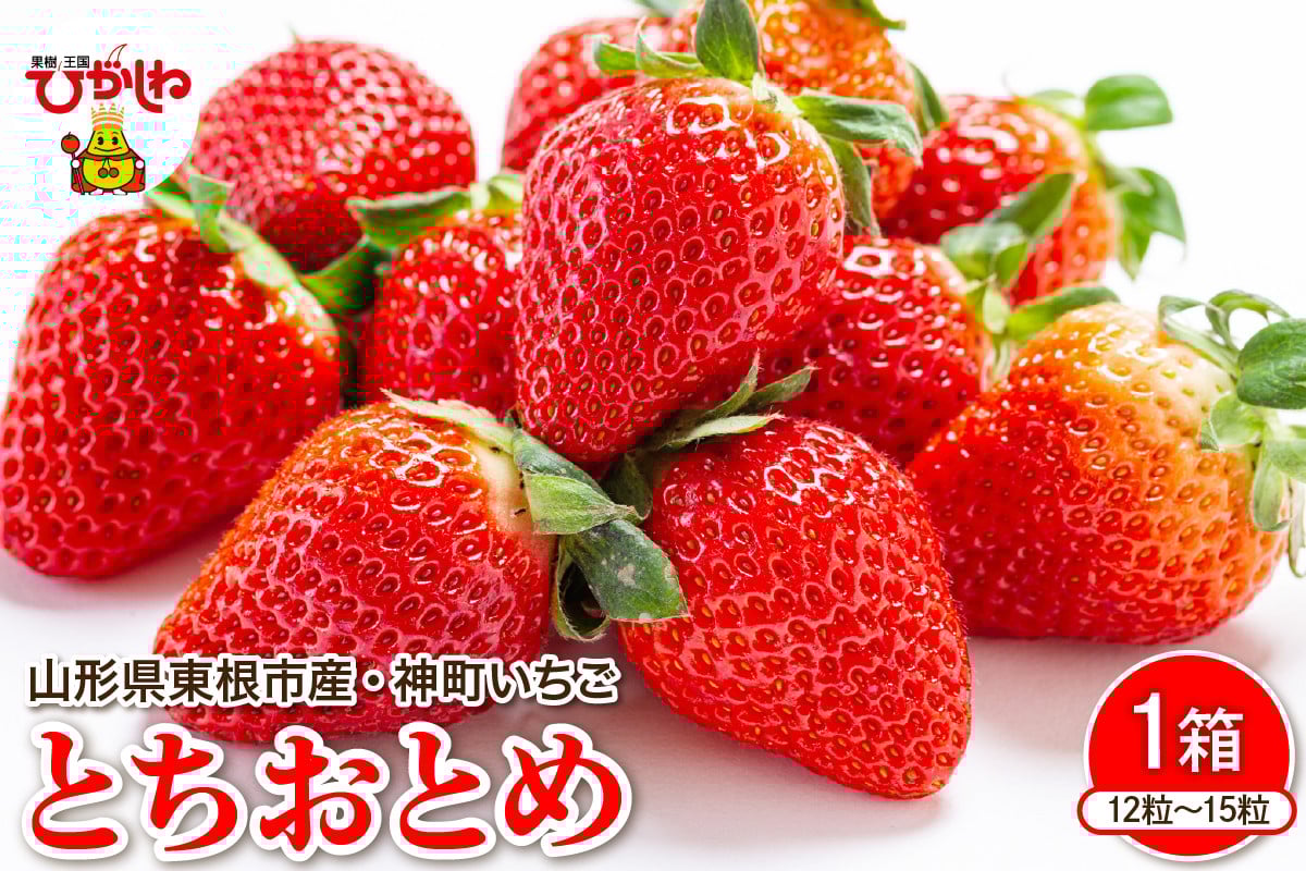 
            【令和8年産　先行予約】神町いちご（とちおとめ）12粒～15粒 山形県 東根市　hi069-015-1
          