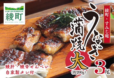うなぎ蒲焼（大）３尾～鰻肝＆鰻骨せんべい付き～【食工房 すみじ庵】_A0114-188