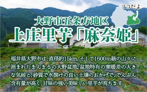 【先行予約】上庄里芋「麻奈姫」3kg「農家直送」【11月初旬から順次発送】