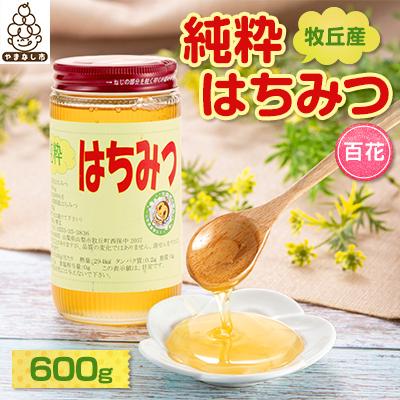 ふるさと納税 山梨市 牧丘産純粋はちみつ(百花)