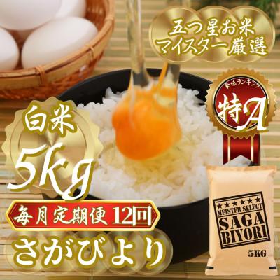 ふるさと納税 吉野ヶ里町 【毎月定期便】『さがびより白米5kg』五つ星お米マイスター厳選!(吉野ヶ里町)全12回