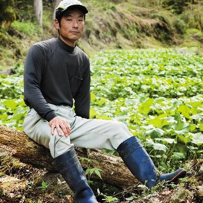 ふるさと納税 津和野町 島根わさび(生)大1本(120g前後)・おろし器付 |  | 02