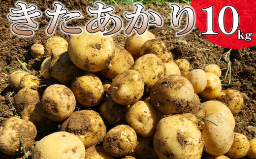 ＜2026年8月中旬発送開始予定＞ 岩手県産 じゃがいも きたあかり 10kg 【松浦農園】／ ジャガイモ じゃが芋 キタアカリ 芋 いも お芋 おいも 馬鈴薯 ばれいしょ ポテト 農家直送 産地直送 野菜 お野菜 八幡平市産 期間限定 数量限定 季節限定 美味しい おいしい おすすめ オススメ