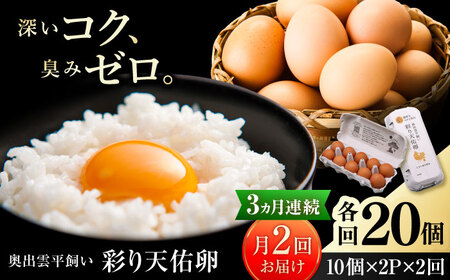 《月2回 × 20個 3ヶ月コース》 たたらの里平飼い 彩り天佑卵 全6回定期便 島根県雲南市/株式会社たなべたたらの里（たなべ森の鶏舎）｜たまご 卵 放牧卵 平飼い卵 新鮮 国産 定期便[AIDL021]