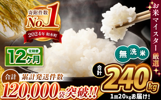 【令和7年産】【定期便12回】 熊本県産 ほたるの灯り 無洗米 20kg | 小分け 5kg × 4袋  熊本県産 こめ 米 無洗米 ごはん 銘柄米 ブレンド米 複数原料米 訳あり 規格外 不揃い 人気 日本遺産 菊池川流域 こめ作り ごはん ふるさと納税 返礼品