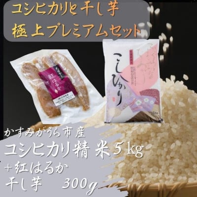 
            コシヒカリと干し芋の極上プレミアムセット(精米5kg×干し芋300g)【1694101】
          