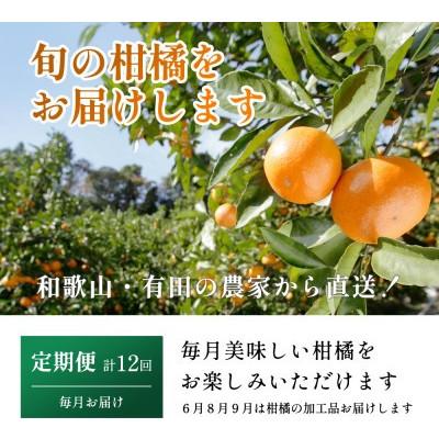 ふるさと納税 広川町 【発送月固定定期便】家庭用 柑橘定期便S(毎月)全12回 |  | 01
