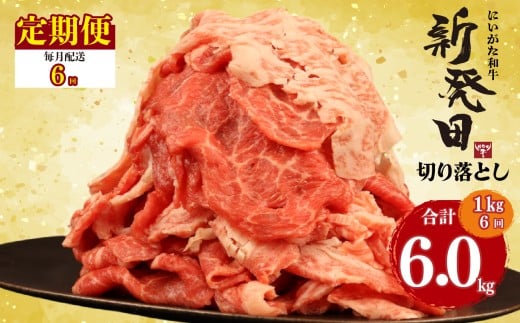 【定期便】 切り落とし 1kg×6回 計6kg 新発田牛 黒毛和牛 霜降り 和牛 ブランド牛 国産 しゃぶしゃぶ 小間切れ 小分け 贈答 お歳暮 新潟 新発田 新潟県 新発田市 近江牛 神戸牛 松阪牛 米沢牛 三大和牛 に負けない えのもとミート enomoto030