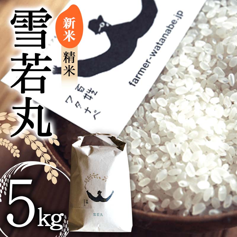 【ふるさと納税】【令和7年産 新米 先行予約】 特別栽培米 雪若丸 (精米) 5kg 《令和7年9月中旬～発送》 『最上園』 米 白米 ご飯 農家直送 山形県 南陽市 [1679-R7]