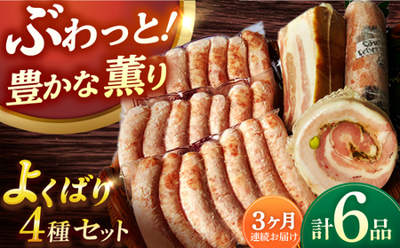 【6点×3回定期便】ハム詰合せ よくばり ソーセージ3袋＋3品 [EAM047]  無添加ベーコン ハムソーセージ 生ソーセージ 国産 ハム詰め合わせ 定期便