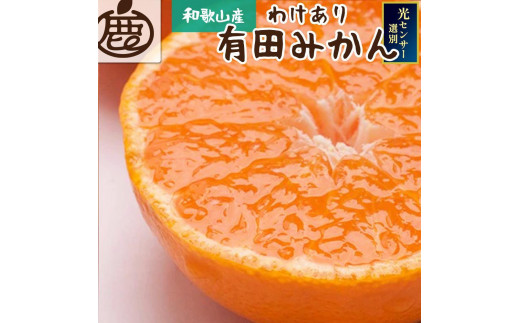 
                  ［先行予約］家庭用 熟成有田みかん 2.5kg+250g（傷み補償分）
                