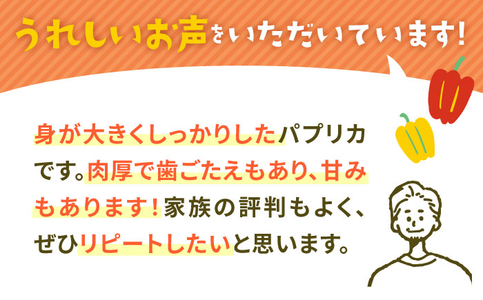 【全3回定期便】五島のパプリカ 計18個【HPIファーム】 [PCP004]