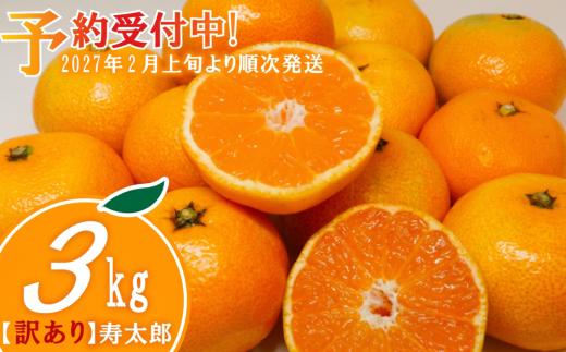 訳あり 寿太郎 みかん 3kg 産地直送 柑橘 フルーツ 果物 蜜柑  時期 旬 季節限定 西浦 おいしい 丸榮 国産 静岡 沼津