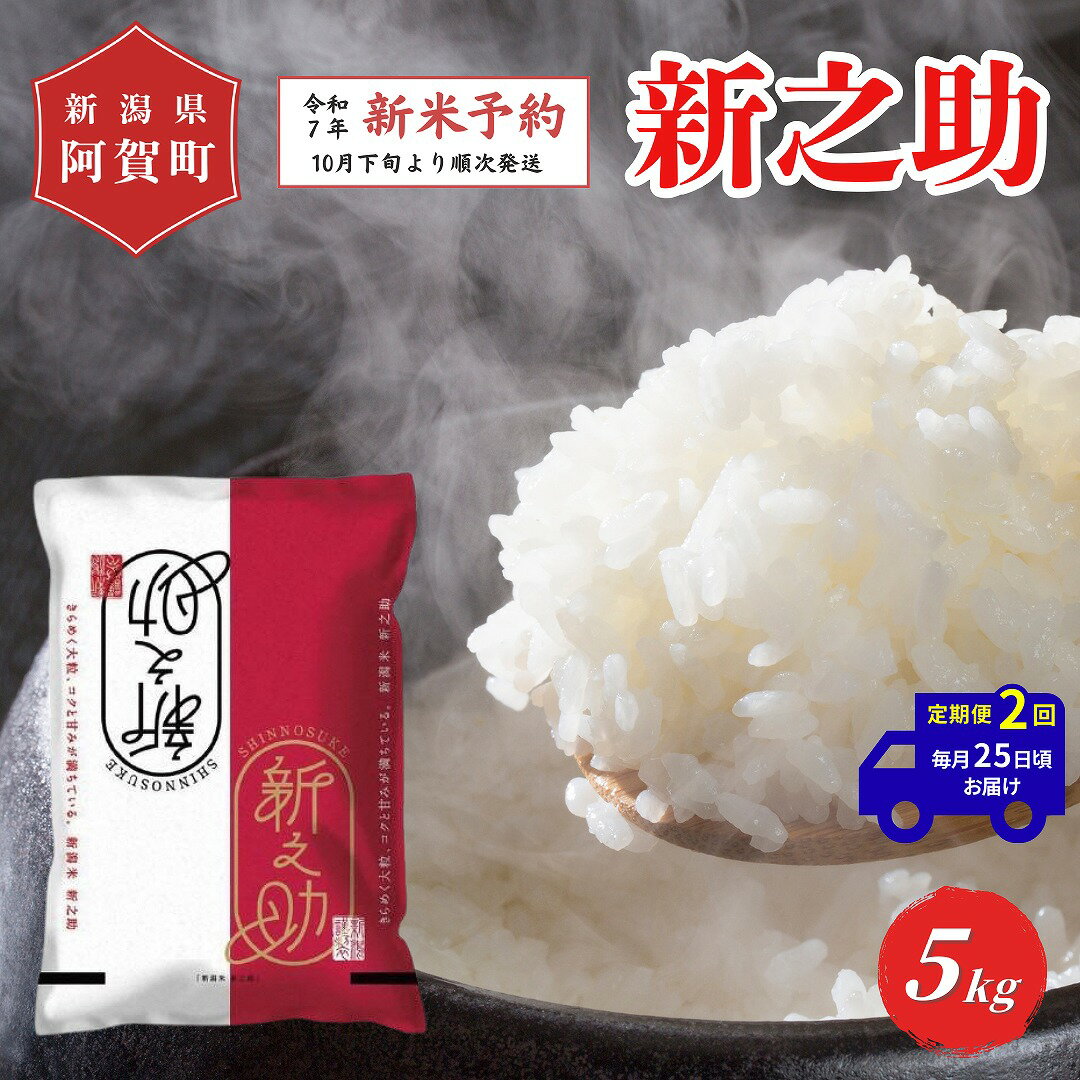 【ふるさと納税】 《先行予約》＜定期便2回＞ 米 5kg 新潟県産 「津川産 新之助」 令和7年産 5kg × 1袋 | 白米 精米 しんのすけ 送料無料 お取り寄せ お米 ※2025年10月下旬頃より順次発送