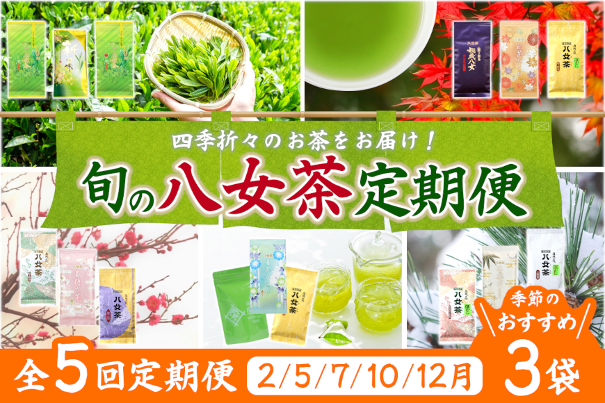 【定期便】八女茶100％ 四季折々の上級茶をお届け ≪３袋ずつ 年間５回 ≫ 定期便 八女茶 お茶 茶 新茶 煎茶 福岡県 高級 緑茶 八女市