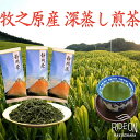 【ふるさと納税】牧之原産深蒸し煎茶「赤富士」3本セット