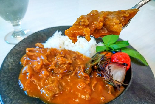 
碧南DELIシリーズ お肉惣菜 無添加 とろける牛すじカレー 約800g(200g×4食)　H080-037
