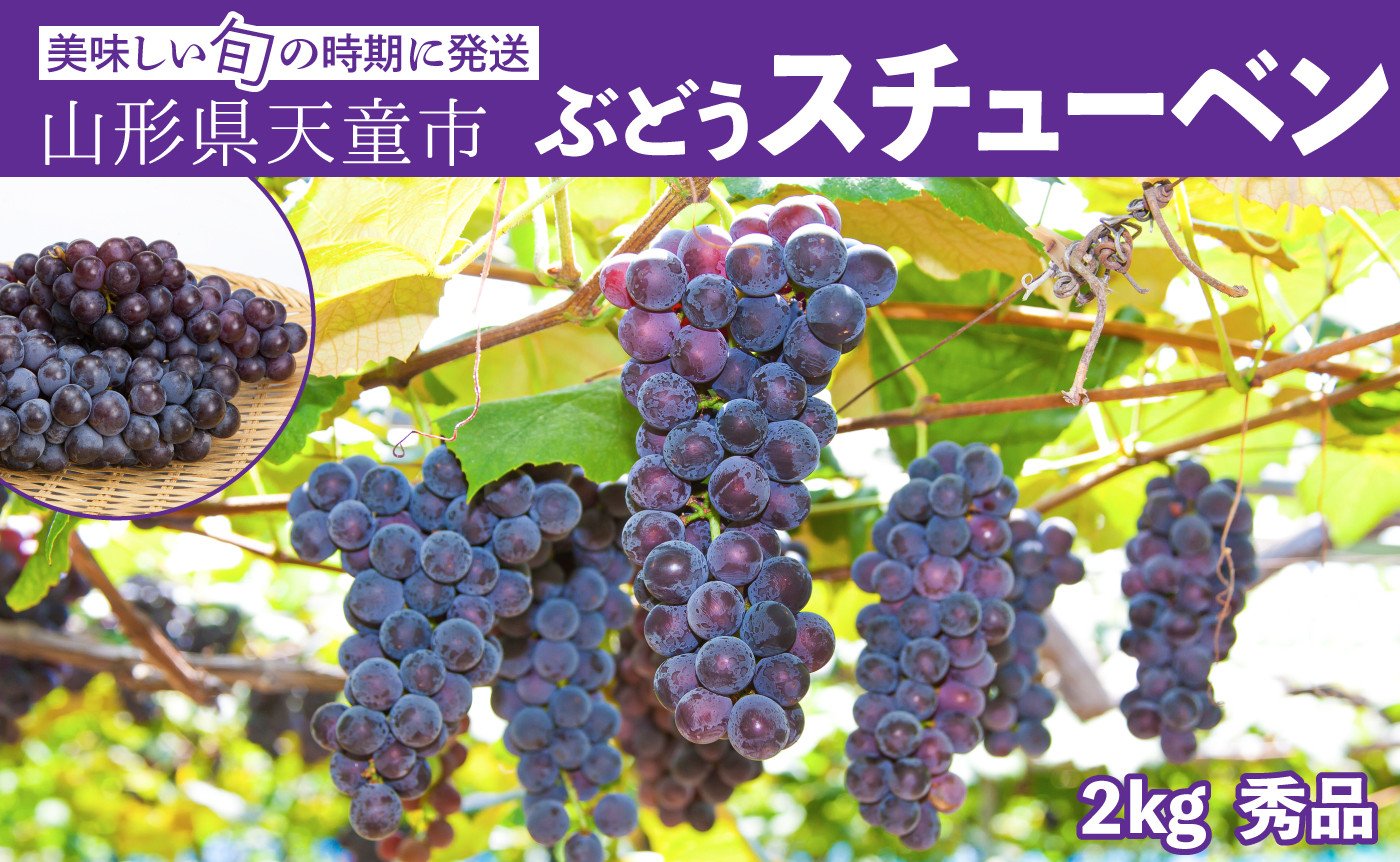 
            08-06-006　ぶどう(スチューベン)2kg
          