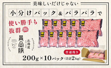 北海道 豚ひき肉 普通挽き 200g 10パック 計2kg【55257039】