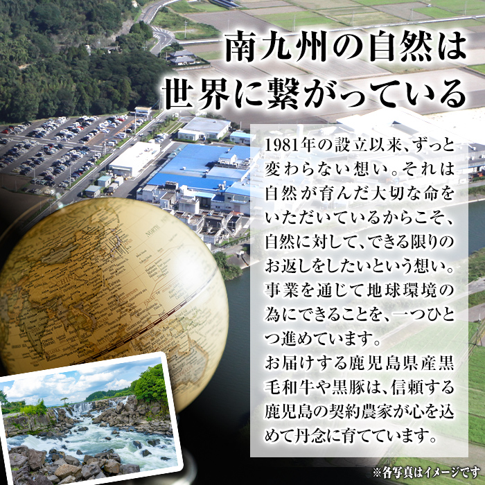 isa883 鹿児島県産黒毛和牛 肩ロース スライス350g/焼肉用300g(合計650g・各1P) 4等級以上！ 国産 牛肉 霜降り 国産 牛肉 霜降り 食べ比べ セット 家庭用 冷凍 【サンキョー