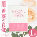 【ふるさと納税】浅井愼平写真集　薔薇の肖像　KANOYA ROSES 鹿屋 かのやばら園 バラ 薔薇 お花 写真集【NPO法人ローズリングかのや】