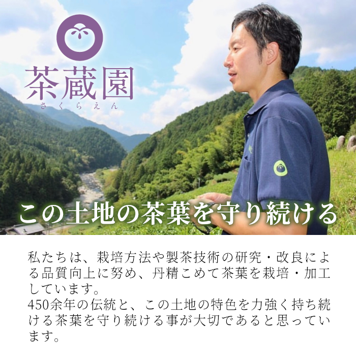 香りと味の調和 特選煎茶「清流-せいりゅう-」 3袋入 70g 茶蔵園 緑茶 日本茶 煎茶 茶葉 お茶 東白川村