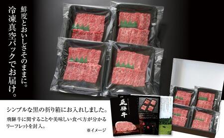 飛騨牛 赤身焼肉 600ｇ 使い勝手の良い 小分け 冷凍真空パック【飛騨高山ミート MZ006】