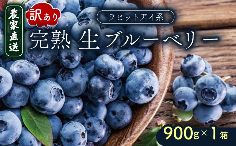 
            訳あり 完熟生ブルーベリー（ラビットアイ系）900g | 2026年発送 ブルーベリー ベリー フルーツ 果物 くだもの 産地直送 期間限定 数量限定 わけあり 訳アリ 生 旬 季節限定 高知県 南国市
          