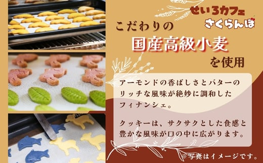 お花で飾った焼き菓子ギフト種類説明