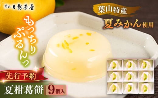 【お中元対象】葉山日影茶屋　夏柑葛餅 9個入 / 葛餅 くずもち 和菓子 おやつ スイーツ 夏みかん 夏蜜柑 お菓子 贈り物 ギフト 柑橘 神奈川県 葉山町【(株)日影茶屋】 [ASAX027]