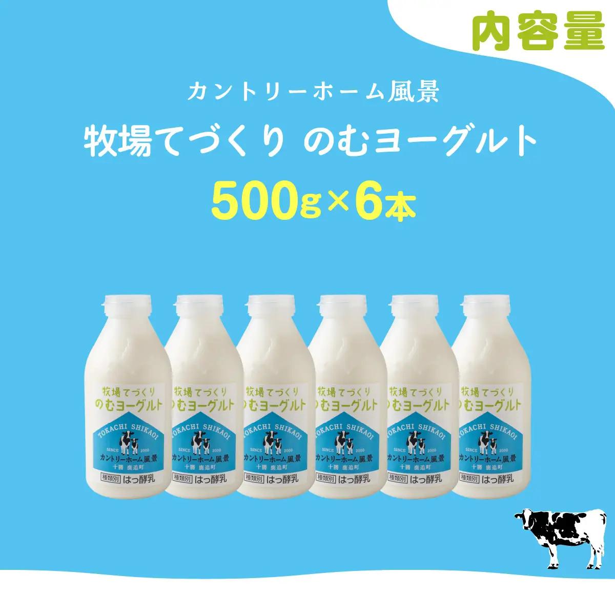 のむヨーグルト 500g ×6 SKB047