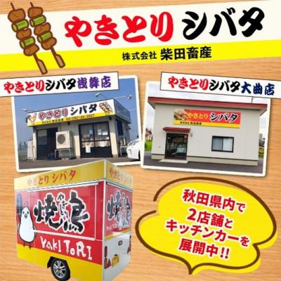 ふるさと納税 横手市 やきとりセット　計16本(鶏ももたれ・塩、ねぎまたれ・塩) |  | 02