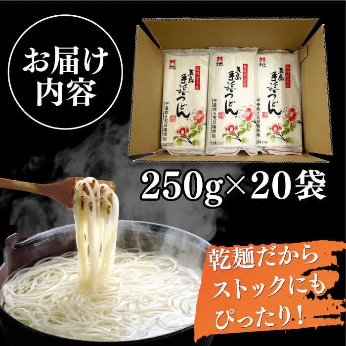 五島うどん 250g×20袋 大容量 業務用 常備用 麺 五島うどん[RAM027] うどん 五島うどん 麺 うどん 五島うどん 麺 うどん 五島うどん 麺 うどん 五島うどん 麺九州 長崎