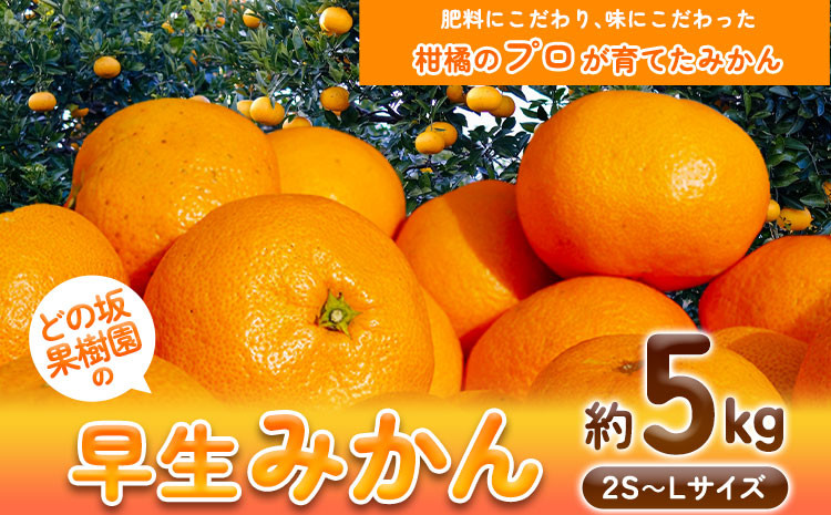 
先行予約 早生 みかん 約 5kg (2S～Lサイズ) どの坂果樹園《12月上旬-1月末頃出荷》 和歌山県 日高川町 みかん 早生 旬 柑橘 フルーツ 果物
